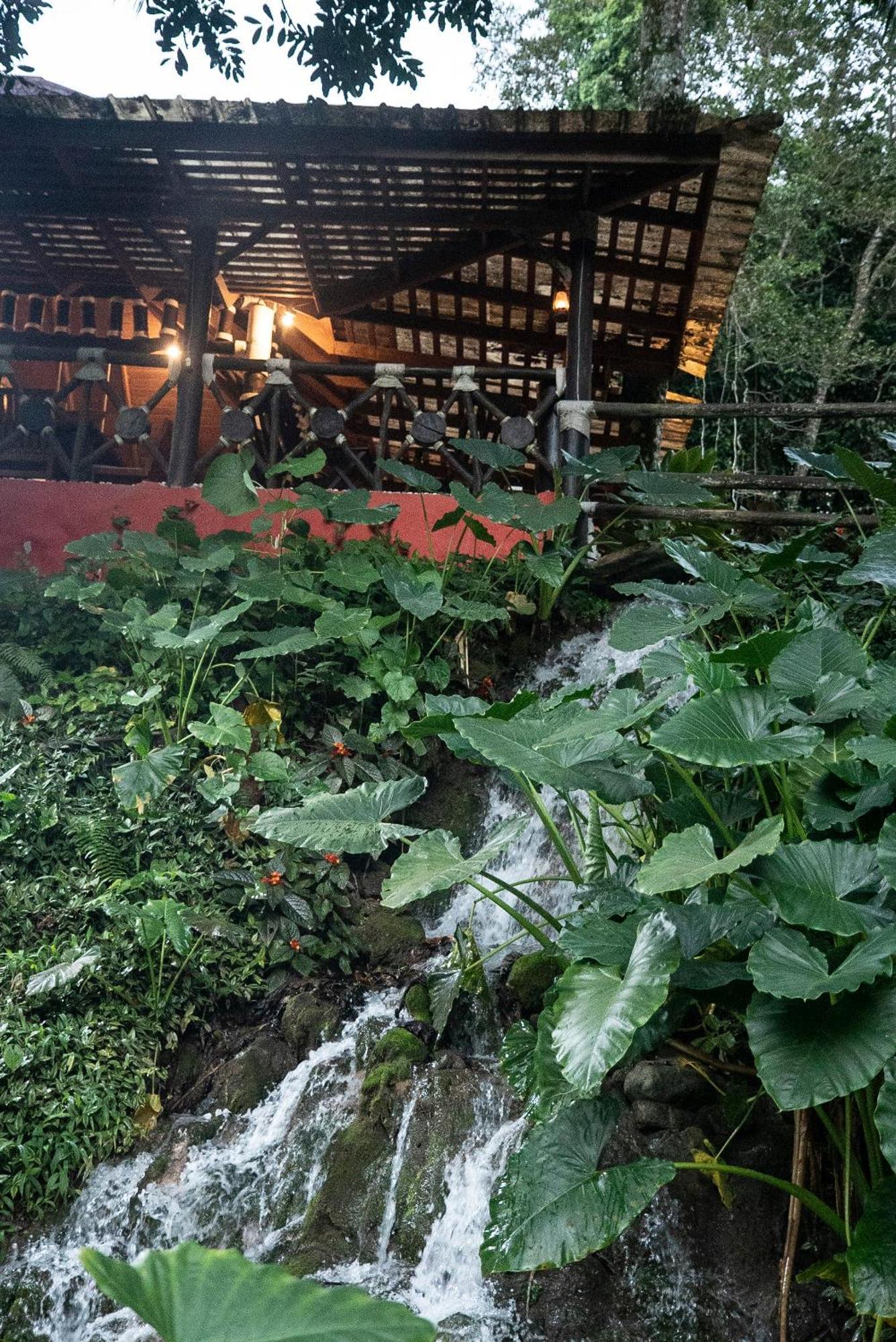 Platon Ecolodge Barahona Екстериор снимка