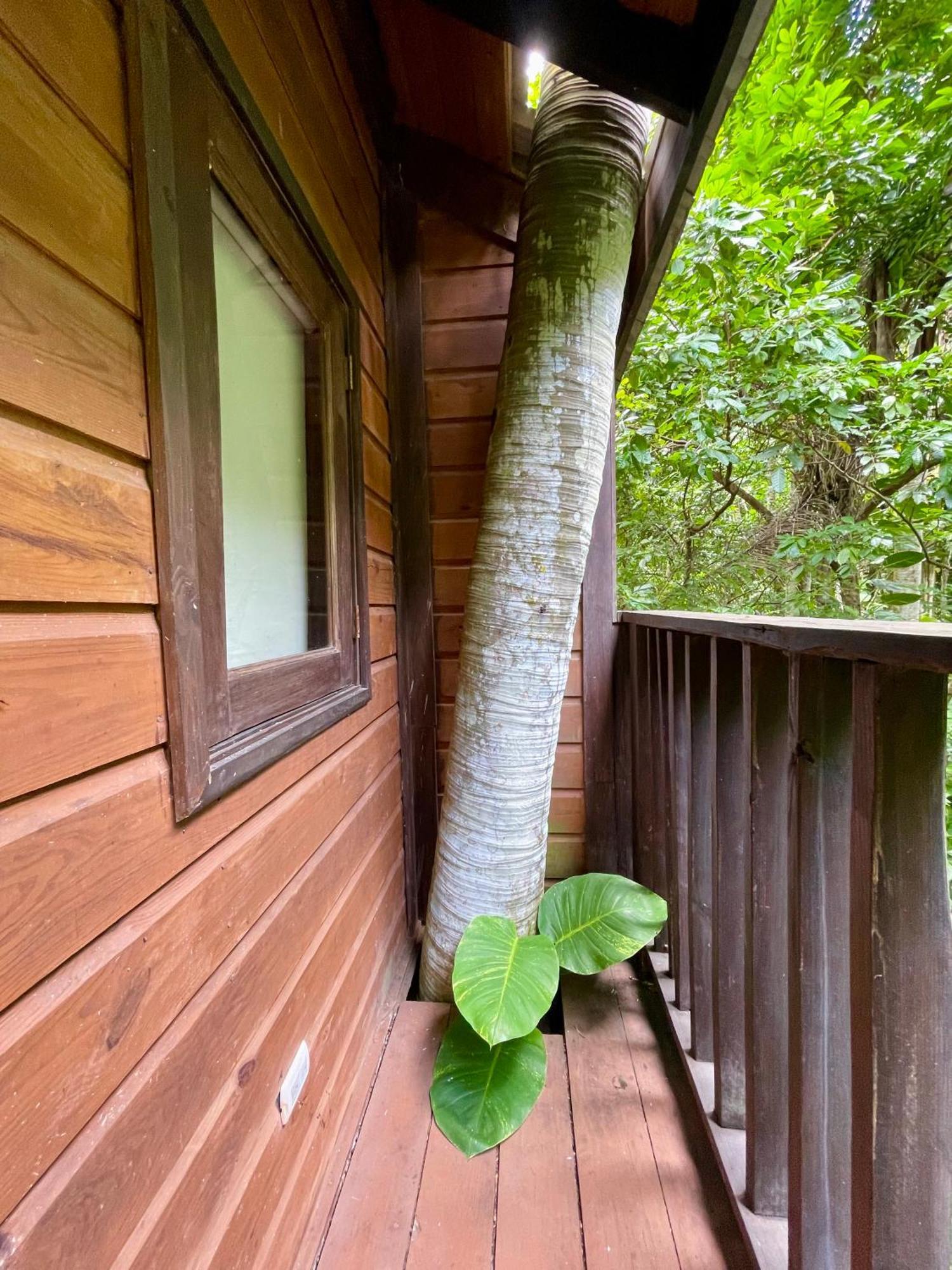 Platon Ecolodge Barahona Екстериор снимка